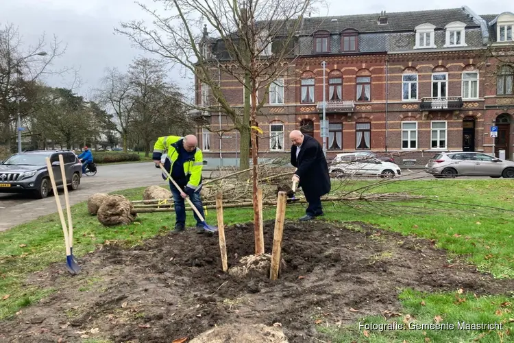 Gemeente Maastricht plant 105 nieuwe bomen in het Stadspark