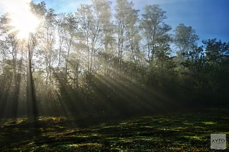 Start lente met zonovergoten weer