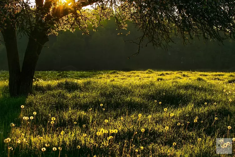 Zonnig weekend gevolgd door enkele frisse dagen, maar temperatuur loopt weer op